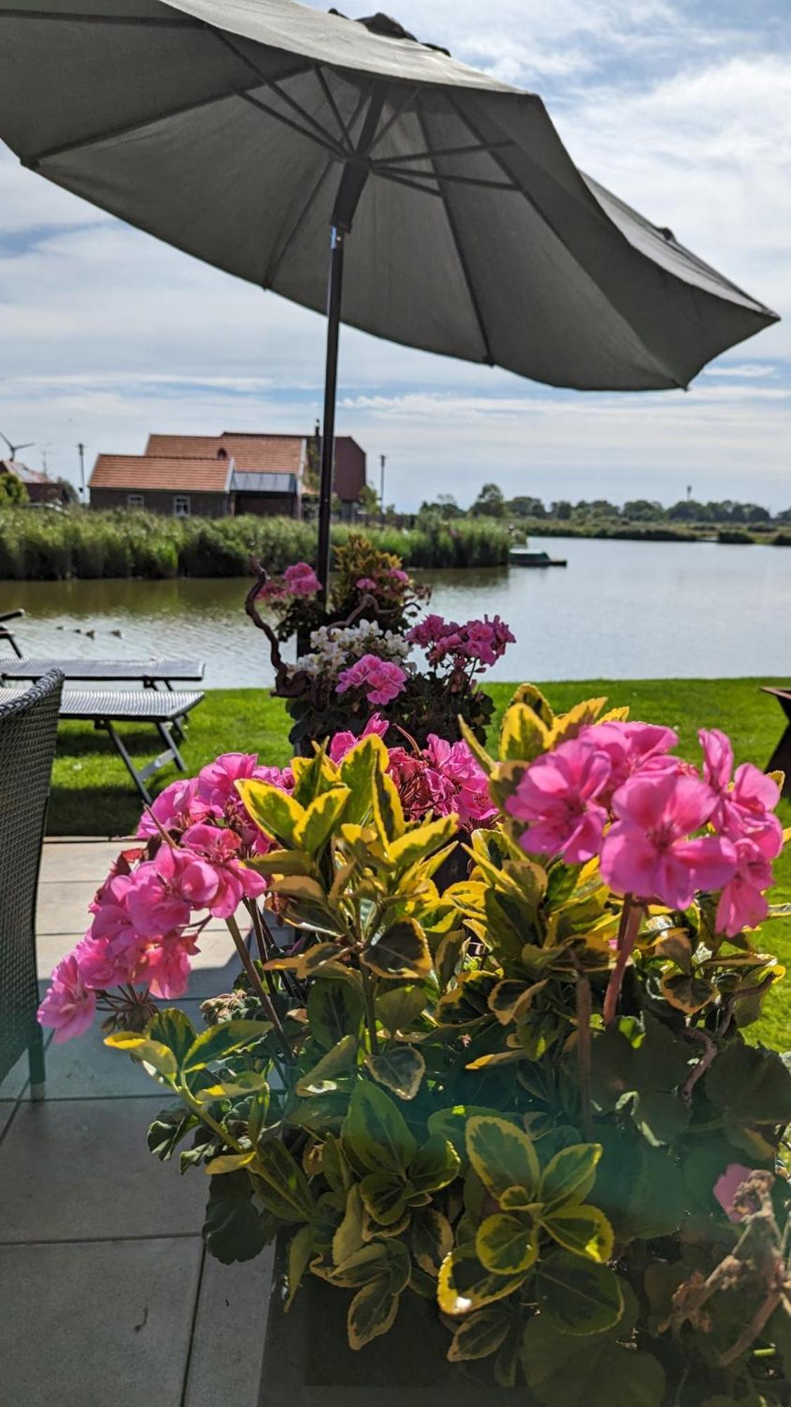 Seeblick Apartment Neuharlingersiel